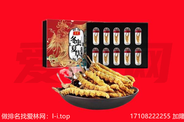福州回收虫草.jpg